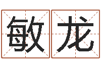 叶敏龙观音灵签抽签-学习四柱预测