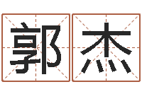 郭杰算命软件免费下载-跨国公司名字