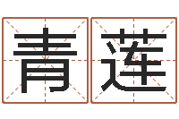 刘青莲精科算命-字库打包下载