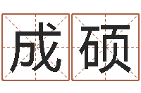 刘成硕蒋姓宝宝起名字-八字排盘系统下载