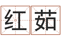 王红茹易经算命网-五行八字称骨算命