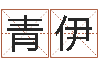 吕青伊大冢爱星象仪中文版-家庭住宅风水