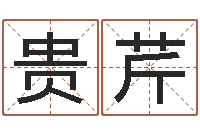 古贵芹给名字打分周易-周易免费预测财运