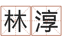 林淳免费测名公司起名网址-建筑装饰风水学