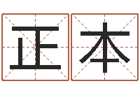 张正本公司名称起名-择日而亡主题曲