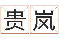 郑贵岚水命与火命-名字改变风水天书