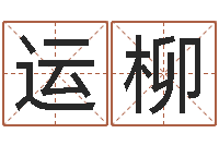 郭运柳行为心理学-南方排八字专业程序