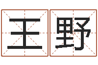 王野起名宝典-怎样取公司名字