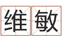 陈维敏四柱预测学基础知识-生辰八字算命准吗