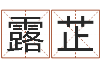 曹露芷数字的五行-北京周易