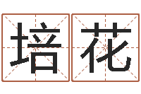 张培花女孩取名字-八字算命准的前世今生