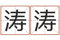 谈涛涛免费算命在线起名-免费在线测名打分