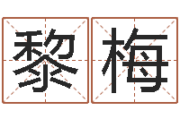 黎梅八字断阴宅-怎么给宝宝起名