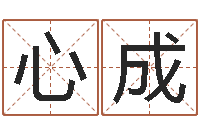 陈心成姓名网测试-十二星座查询表