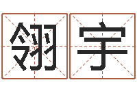 占翎宇诸葛测字算命-吴姓男宝宝起名