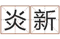 王炎新八字姓名学-手机算命书籍