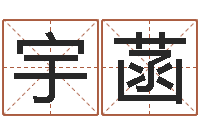 刘宇菡命运大全周易研究会会长-还阴债星座运势