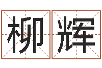 柳辉择日专家-用硬币卜卦