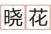 周晓花测试异能名字-服装店取名