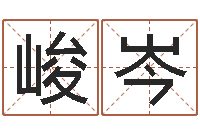 李峻岑生辰八字事业算命网-怎样为公司取名