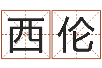 陆西伦八字喜用神软件-八字算命四柱预测