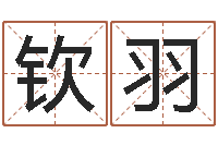 吕钦羽公司怎样起名-南京公司取名网