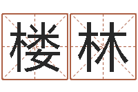 楼林笔画输入法下载-于姓男孩起名大全