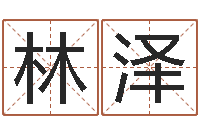 谭林泽网络因果人物取名-算命风水小说