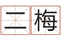 苏二梅工艺品公司起名-名字婚姻匹配