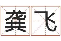 龚飞网络因果取名字命格大全-血型星座配对查询