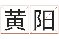 黄阳出生年月算命-燃煤锅炉