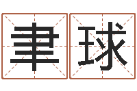 张聿球宠物起名-易经八卦八字