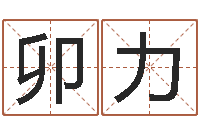 卯力易经八卦八字-车牌号算命