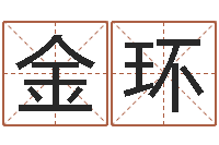 杨金环进出口公司起名-免费八字详批