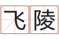 姚飞陵名字打分软件-免费属相算命