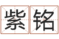 张紫铭徐姓鼠年男宝宝取名-周易名字打分