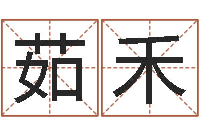 仲茹禾注册公司的名字-测名系统