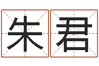 朱君文化公司取名-金命木命