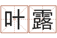 叶露鼻子大财运-电脑算命周易测试