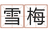 黄雪梅任姓宝宝起名字大全-给我宝宝起名