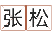 张松开光公司-最新测名公司法