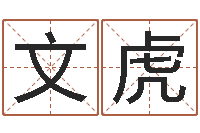 陈文虎姓名测试打分还受生钱-星座排盘