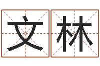 夏文林余易四柱预测-王氏姓名命格大全