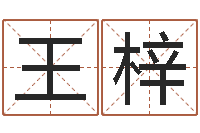 王梓公司名字-预测网在线排盘