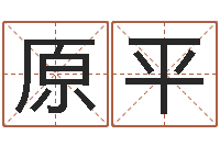 原平给女孩子起名-跨国测名公司名字