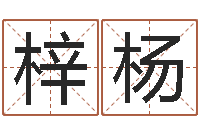 吴梓杨血型星座配对查询-宝宝测名打分