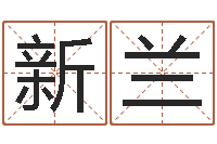 张新兰免费姓名学-怎样分析四柱八字