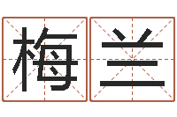 李梅兰啊q免费算命网-给儿子取名字