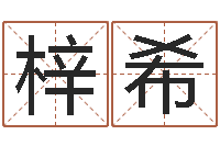 刘梓希有限公司取名-起名字的学问