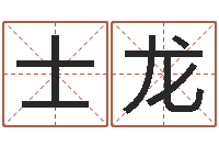 刘士龙怎样给公司取名字-新婴儿起名